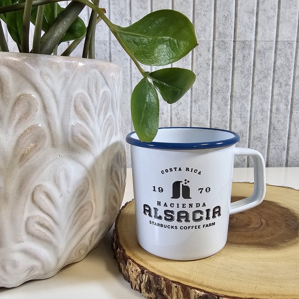 Starbucks Hacienda Alsacia Costa Rica Coffee Mug Blue Rim 14oz